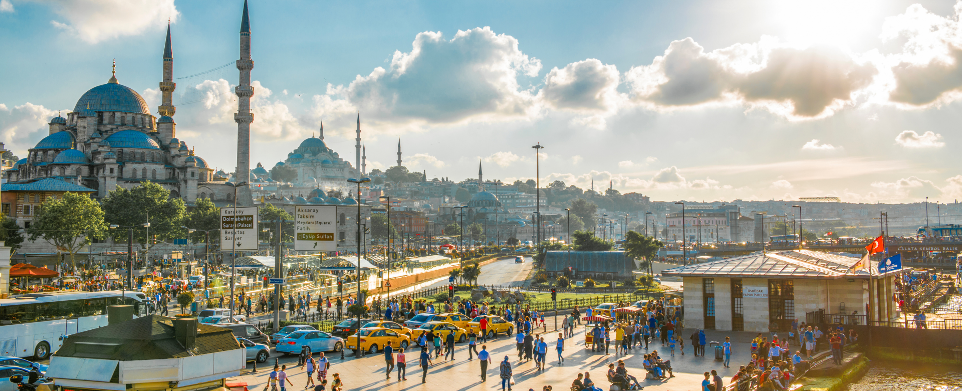 banner-image